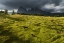 Picture of HORSES IN THE DOLOMITES