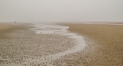 Picture of WATCH OF THE SEAGULLS