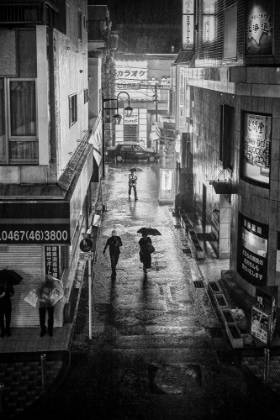 Picture of HARD RAIN