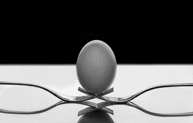 Picture of THE EGG