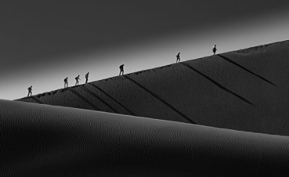 Picture of CLIMBING UP