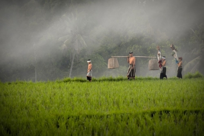 Picture of PREPARATION BEFORE PERFORMING