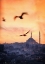 Picture of SUNSET IN ISTANBUL