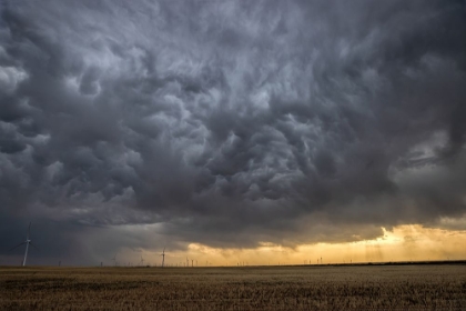 Picture of ANGRY SKY