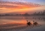Picture of ROSY ROMANCE