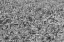 Picture of TOKYO TEXTURE