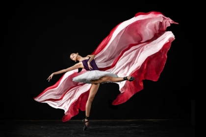 Picture of RED AND WHITE BALERINA