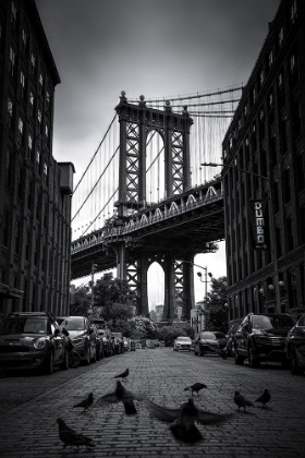 Picture of DUMBO - NYC