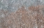 Picture of SNOWSTORM