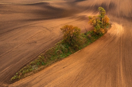 Picture of SOUTH MORAVIA