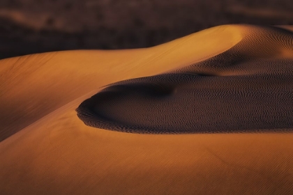 Picture of SAND DUNES (2)