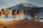 Picture of CARAVANE
