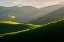 Picture of AFTERNOON LIGHT ON HILLS
