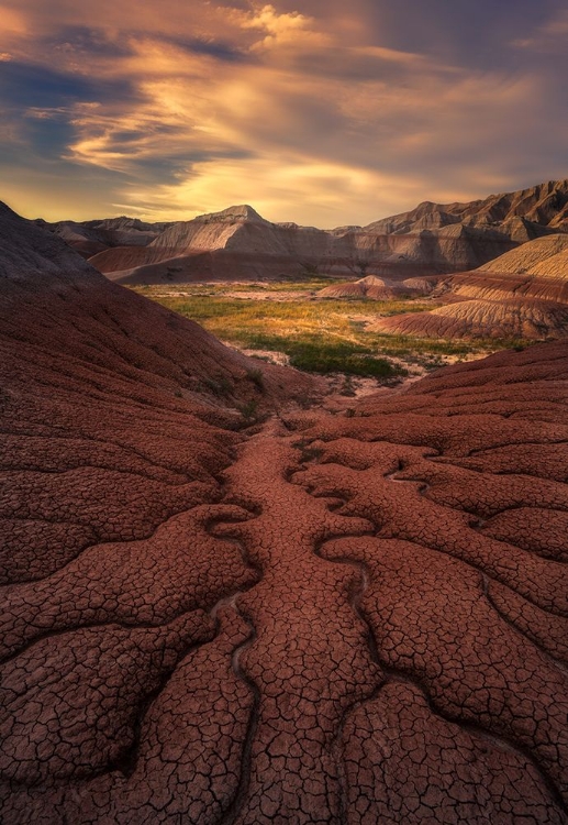 Picture of BADLANDS  HARMONY