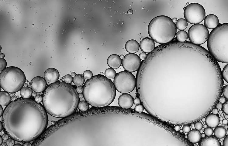 Picture of BUBBLES