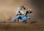 Picture of STRENGTH MATCHING