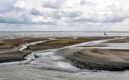 Picture of THE WADDEN SEA FROM THE ISLAND AMELAND