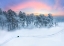 Picture of WINTER MORNING GLOW
