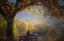 Picture of WOMAN SITTING ON A BENCH UNDER A TREE AND FACING A YELLOW AUTUMN