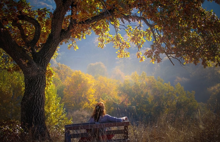 Picture of WOMAN SITTING ON A BENCH UNDER A TREE AND FACING A YELLOW AUTUMN
