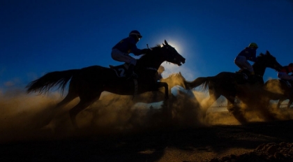Picture of HORSE RACING THROUGH THE DUST