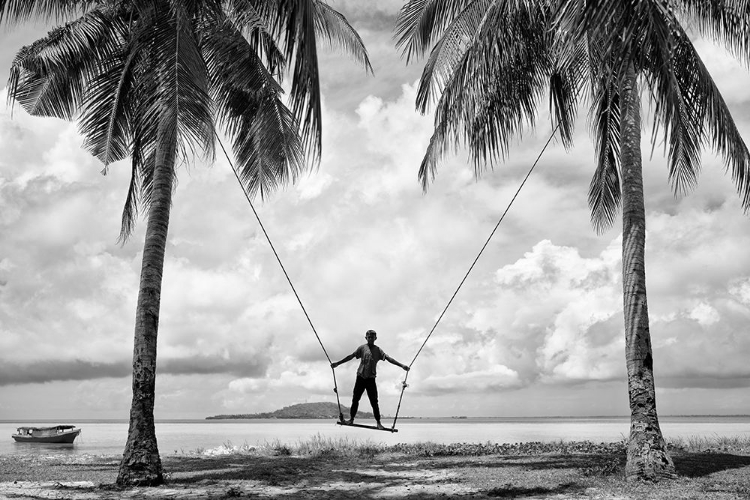 Picture of TROPICAL PLAYGROUND