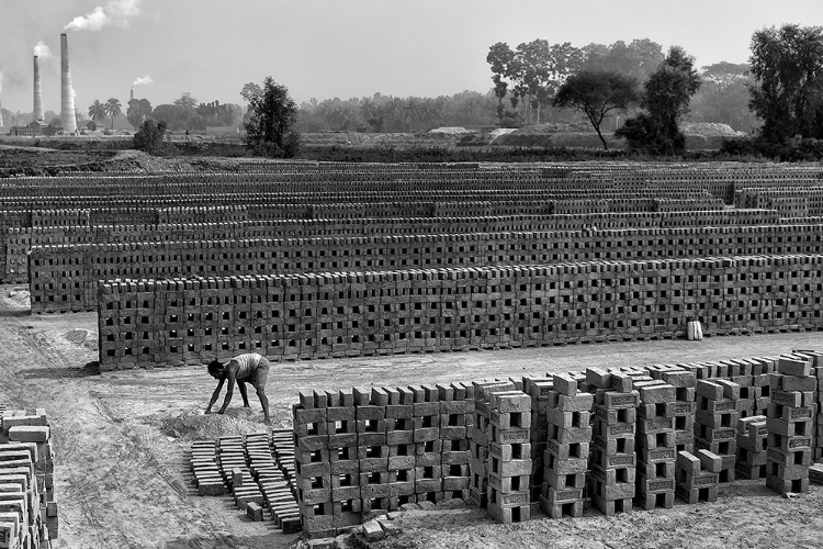 Picture of WORKING ALONE IN BRICK FIELD