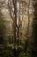 Picture of FRUSKA GORA