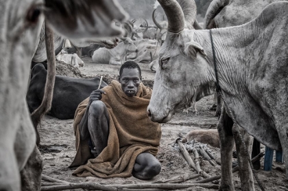 Picture of IN A MUNDARI CATTLE CAMP - SOUTH SUDAN