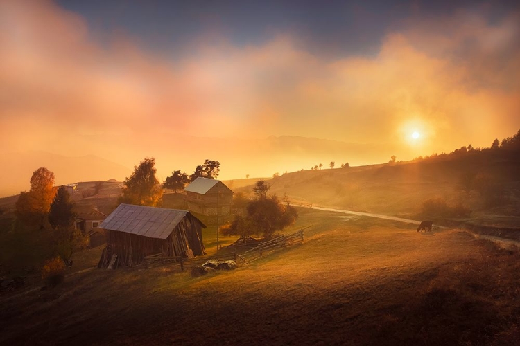 Picture of A MISTY SUNSET