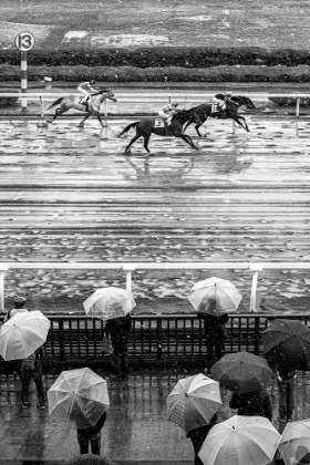 Picture of URAWA HORSE RACING (2018)