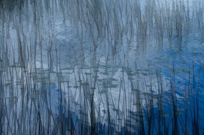Picture of ABSTRACT RIET