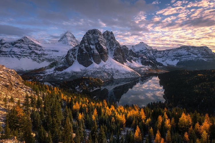 Picture of MT. ASSINIBOINE