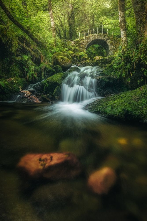 Picture of SCOTLAND - FAIRY GLEN BRIDGE