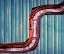 Picture of SNAKE