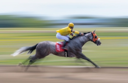 Picture of HORSE RACING