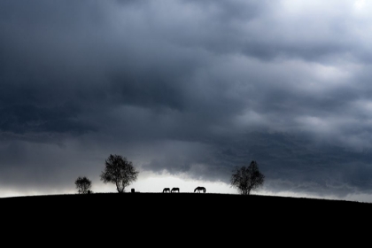 Picture of A FAMILY OF THREE