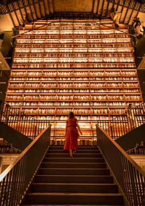 Picture of STAIRWAY TO KNOWLEDGE