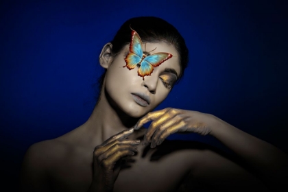 Picture of THE BUTTERFLY GIRL