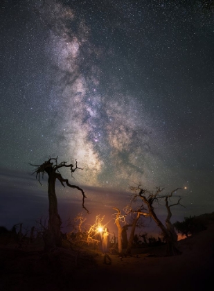 Picture of UNDER THE MILKYWAY