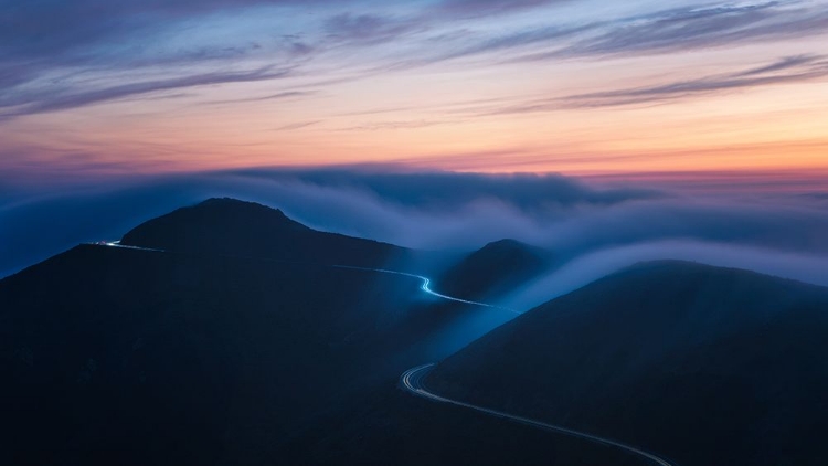 Picture of SOAKING IN FOG