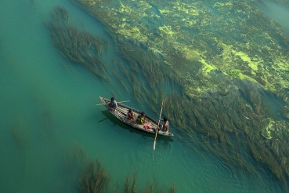 Picture of CROSS THE ALGAE RIVER