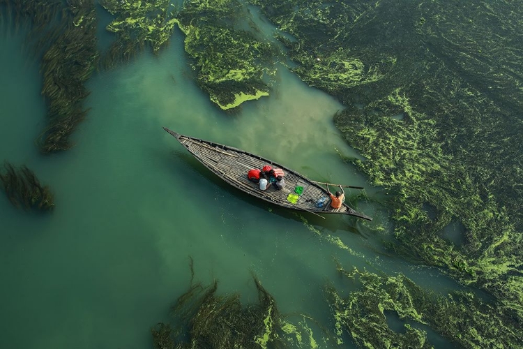 Picture of CROSSING THE ALGAE RIVER