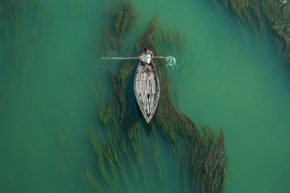 Picture of CROSSING ALGAE RIVER