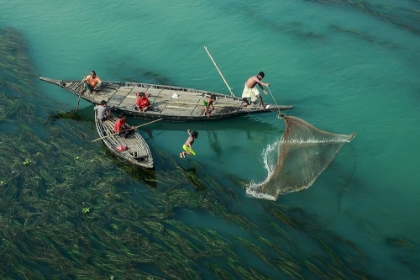 Picture of FISHING IN THE ALGAE RIVER