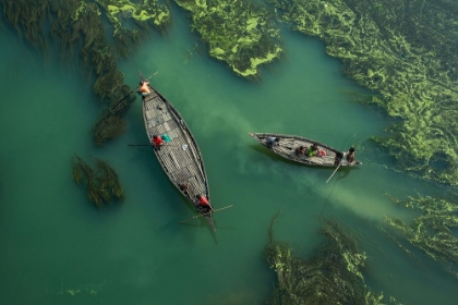 Picture of CROSSING THE ALGAE RIVER