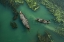 Picture of CROSSING THE ALGAE RIVER