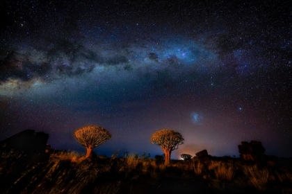 Picture of THE MILKY WAY IN NAMIBIA
