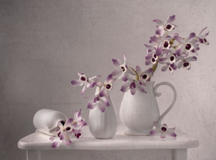 Picture of LILAC ORCHID