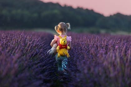 Picture of WINNIE THE POOH JOURNEY IN THE LAVENDER SEA